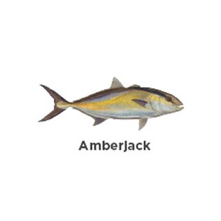Fish Rod Decal Amberjack