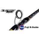 EXPERT GRAPHITE MEGABITE LIGHT JIGGING 1-tlg. Spin - versch. Modelle