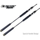 EXPERT GRAPHITE MEGABITE LIGHT JIGGING 1-tlg. Spin - versch. Modelle